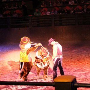 Buffallo Bill Western Show
