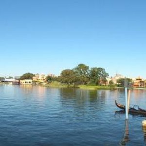 DSC 0608