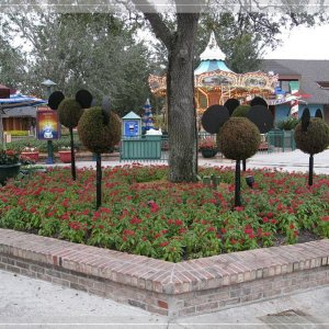 comp IMG 0194