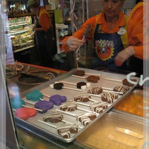 comp IMG 0270