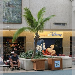 comp IMG 0291