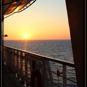 comp IMG 0767