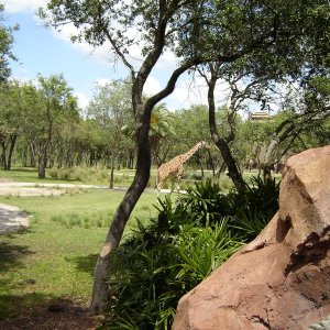 DSC00397