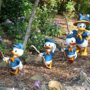 Camp Mickey Minnie