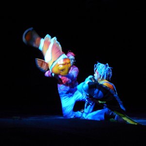 Dori und Marlin