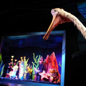 Das Aquarium
