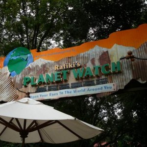 Rafikis Planet Watch