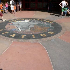 Conservation Station