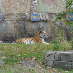 Maharajah Jungle Trek