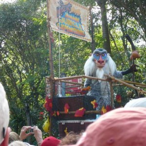 Animal Kingdom Parade