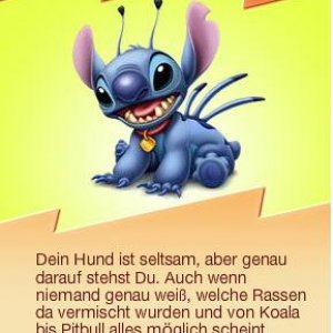 Mein Hund Testergebnis