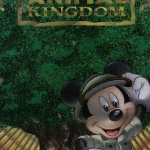 Vorderseite der Postkarte von disneyrunner aus WDW - Januar 2010.