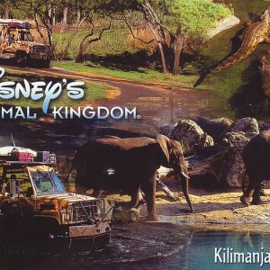 Post von Janet9 aus WDW - Animal Kingdom - Vorderseite
