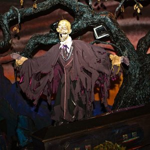 Phantom Manor