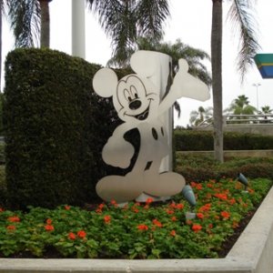 TTC Mickey
