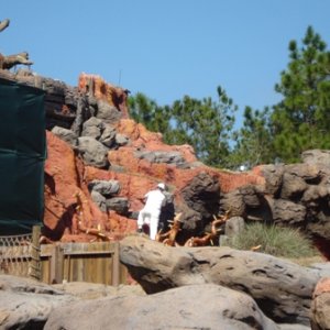 Splash Mountain Rehab