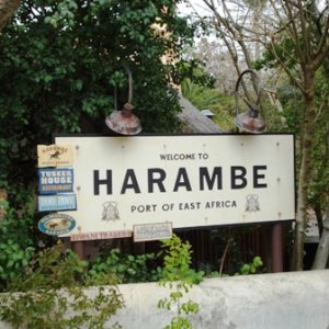 AK Harambe