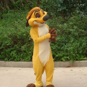 AK Timon