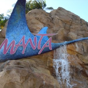 Manta