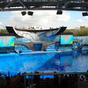 Shamu Stadium