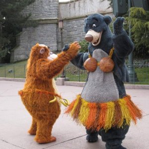 k IMG 5223