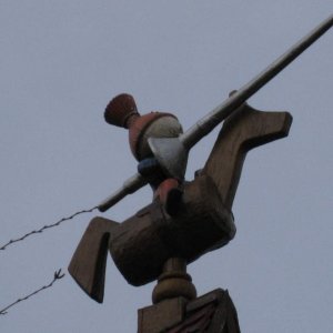 k IMG 5346
