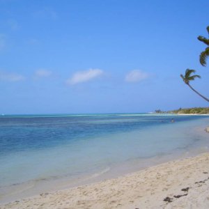 Coco Cay - Dream