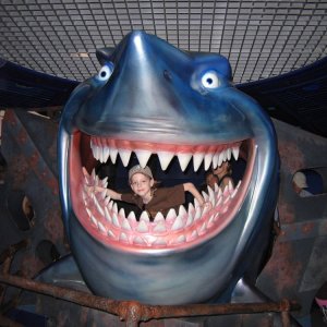 18.10.2008:
Epcot - in "The Seas" darf das Foto mit dem Hai auf keinen Fall fehlen