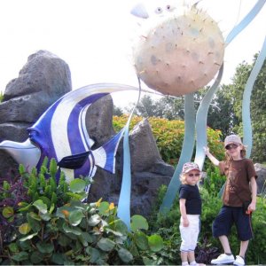 18.10.2008:
Epcot - vor "The Seas" - wir warten auf Arnd und vertreiben uns die Zeit mit ein paar Fotos