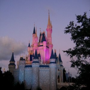 14.10.2008:
Magic Kingdom - und noch ein Foto vom Schloß, diesmal in pink ...