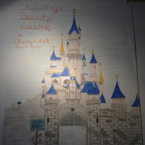 Sleeping Beauty Castle DLP