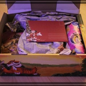 comp IMG 4645