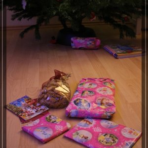 comp IMG 4649