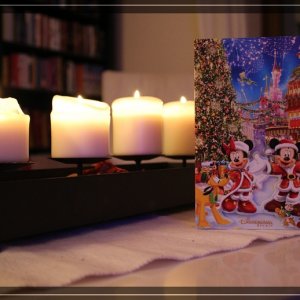 comp IMG 4650