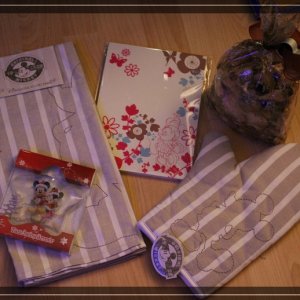 comp IMG 4655