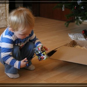 comp IMG 4679