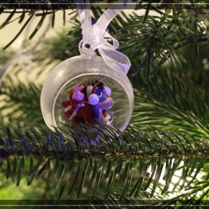comp IMG 4453