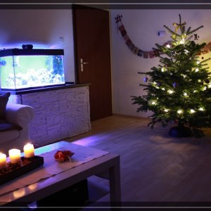 comp IMG 4470