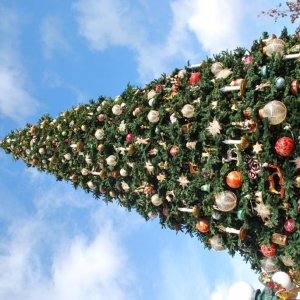 Christmas Tree