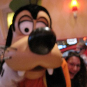 Goofy