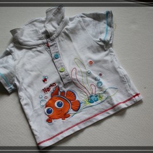 comp IMG 3758