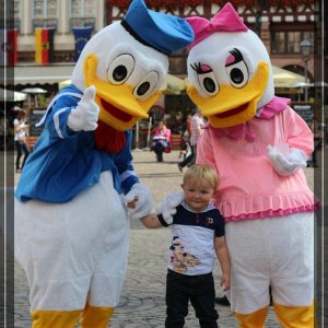 comp IMG 3733