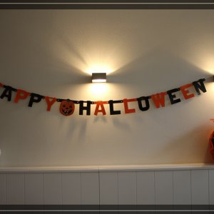 comp IMG 5099