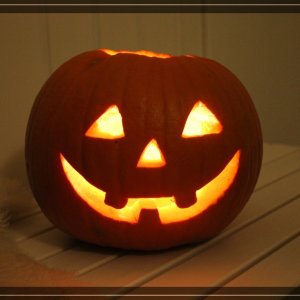 comp IMG 5228