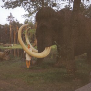 Filmpark 01