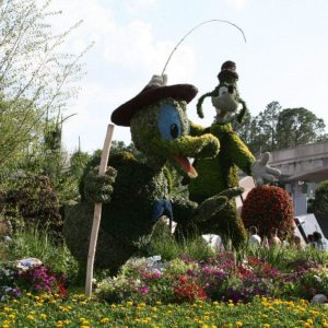 Flower and Garden