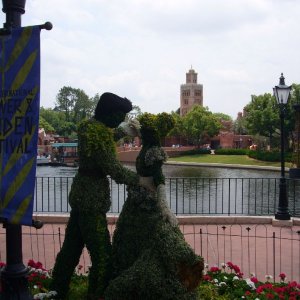 Flower and Garden