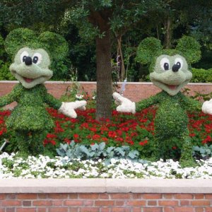 Mickey and Minnie