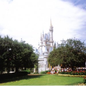 WDW 04