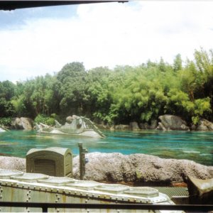 WDW 05
